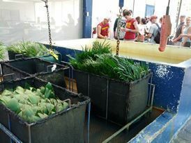 CSNA é uma unidade suplementar da UFAM que exerce importante missão no desenvolvimento florestal e preservação ambiental no Estado do Amazonas